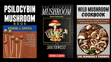 Британська сім’я отруїлася грибами через книгу, написану нейромережею